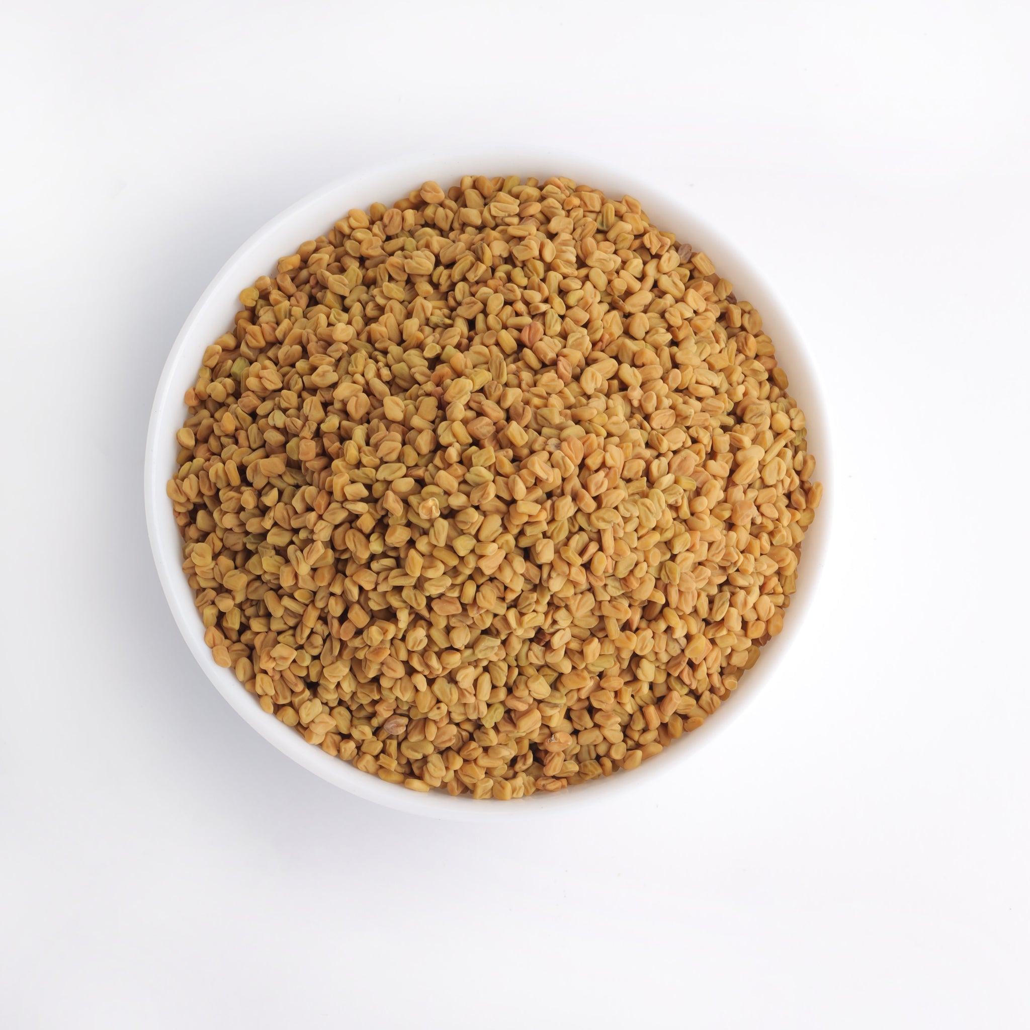 JALARAM METHI